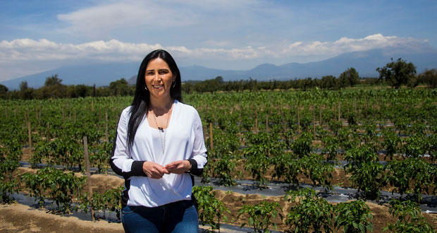 Fabiana Briseño, nueva delegada especial de la CIT en Puebla