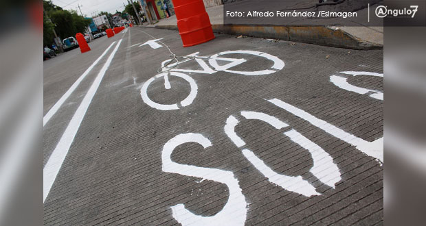 Puebla necesita ciclovías en periferia y evitar invasión de autos: ONG