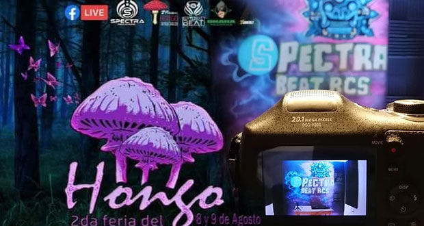 Excursión se realizó con medidas sanitarias: Feria del Hongo en Canoa