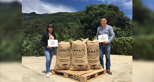 Exportan café de la Sierra Norte de Puebla a Alemania
