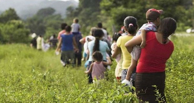 En 2019, 8,664 desplazados por violencia en 8 estados: Cmdpdh