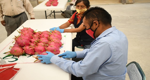 Celebran la quinta Feria de Pitahaya en Ahuatempan
