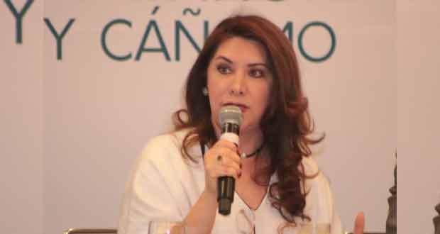 Consejo de Cannabis y Cáñamo se une a organismo nacional agropecuario