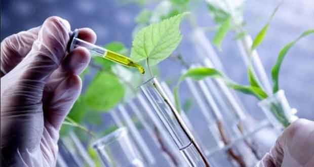 Biotecnología no desapareció de reglamento del SIN: Conacyt