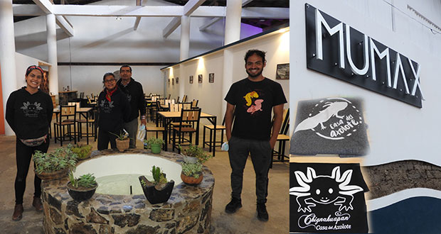 Museo Mexicano del Axolote abre sus puertas en Chignahuapan
