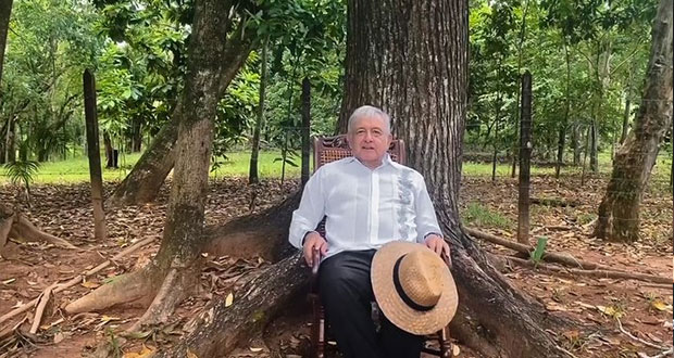México Libre, sin registro por recurso opacos; “triunfo del pueblo”: AMLO