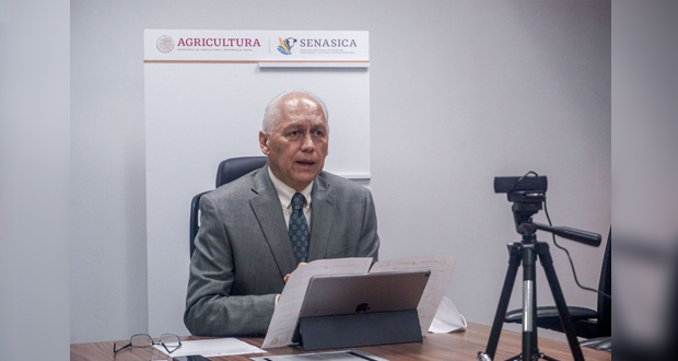 Venderán fruta local con garantía de inocuidad en México