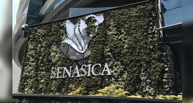 Cambian sede de Senasica en CDMX; Sader destaca “ahorro” de 145 mdp