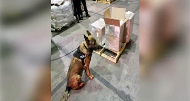 Aduanas decomisa 72 kilos de precursor químico; venían de China
