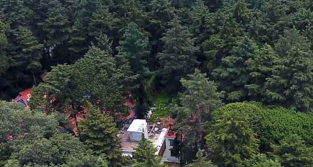 Piden audiencia con gobierno por protección de Flor del Bosque