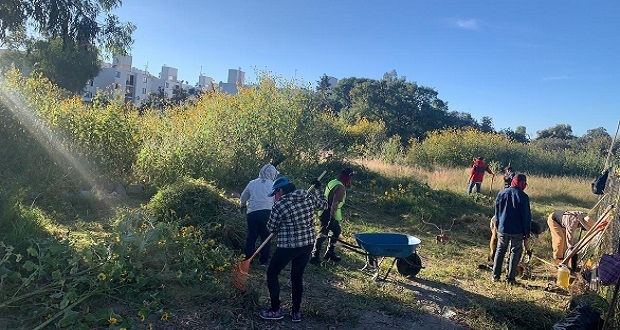 En Bosques de Manzanilla, vecinos dan mantenimiento a bachillerato