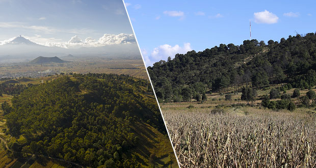 Medio Ambiente y VW van por rehabilitación del cerro Zapotecas