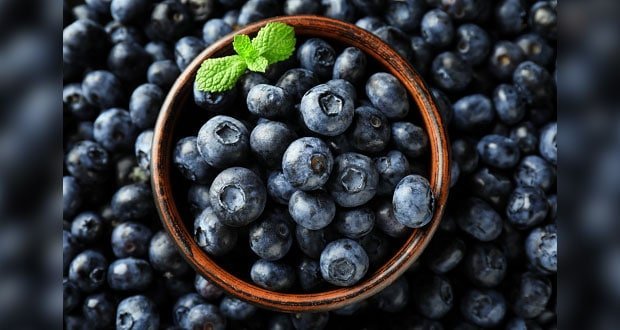 SDR da certificaciones a productores de blueberries en Zacatlán