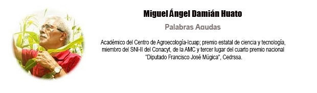 biografia-miguelangeldamianhuato