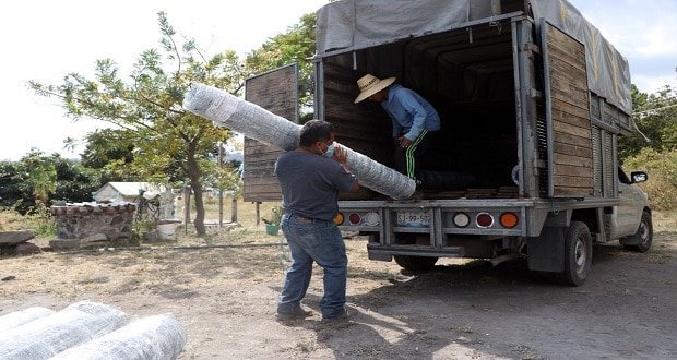 SDR da paquetes de reducción de riesgos sanitarios para aguacate