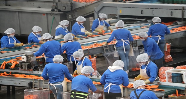 En 2020, se perdieron 39,172 empleos formales en Puebla: Canacintra