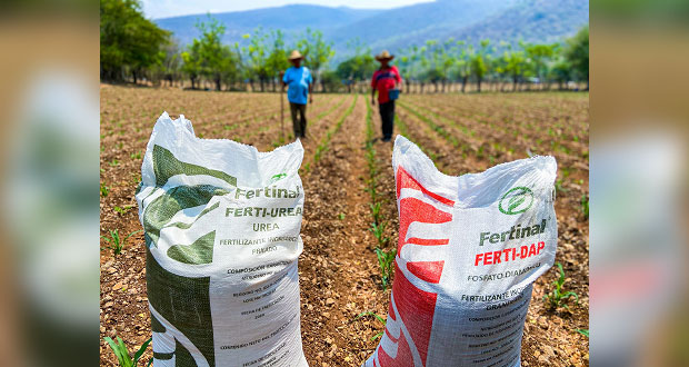Federación dará fertilizantes gratis a 800 mil pequeños campesinos