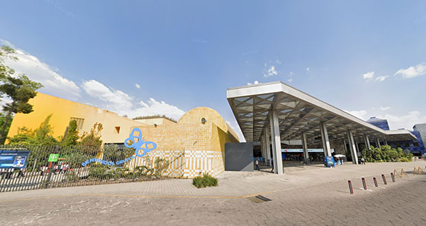 Colaboradores de Papalote Museo del Niño reciben certificaciones