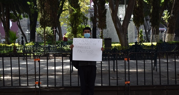 Joven protesta frente a ayuntamiento en pro de legalizar la marihuana
