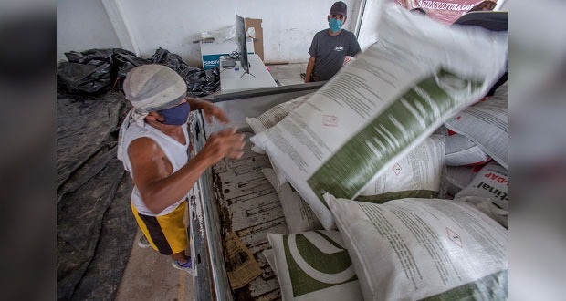 Sader entrega 2 mil toneladas de fertilizante a campesinos de Morelos