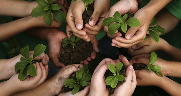 Legalizan 8 Áreas Destinadas Voluntariamente a la Conservación