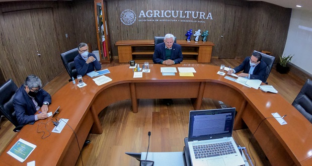 Al cierre de 2020, aumentan producción de granos y apoyos: Sader