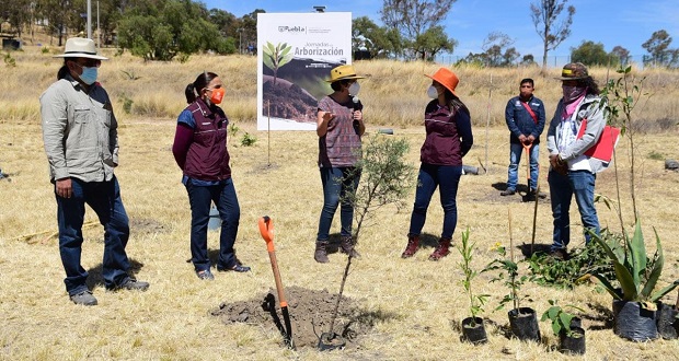 Ayuntamiento siembra 400 árboles en Parque Cerro de Amalucan
