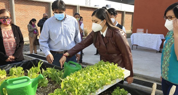 Comuna de Puebla da huertos escolares a 35 instituciones
