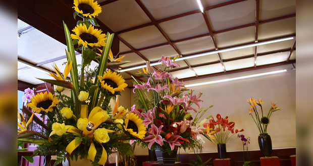 En pandemia, flores y plantas ayudan al estado emocional