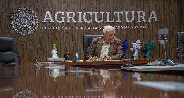 México, comprometido con abasto de alimentos al país y mundo: Sader