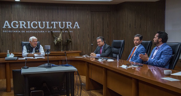 Convenio federal busca fortalecer acceso a semilla de frijol mejorada