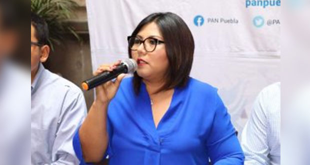 “Va por México” debe ser oposición a reforma eléctrica, pide Huerta  