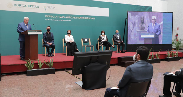 Agricultura mexicana resistió año de pandemia; en 2021, ligero avance