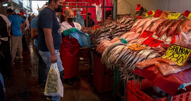 Atún, mojarra y cazón, pescados que más consumen mexicanos: Sader