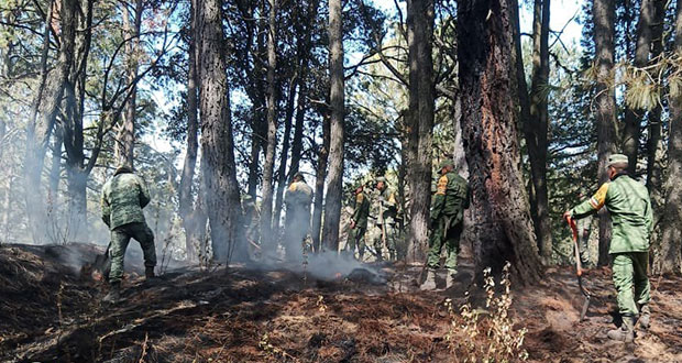 Conafor reporta incendio forestal en La Malinche; suman 55 en 18 estados