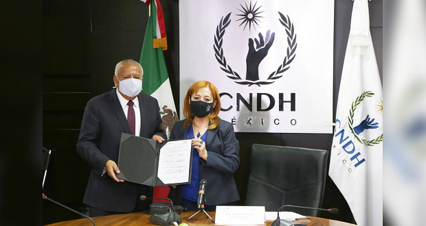 INM y CNDH capacitarán a funcionarios contra violencia a migrantes