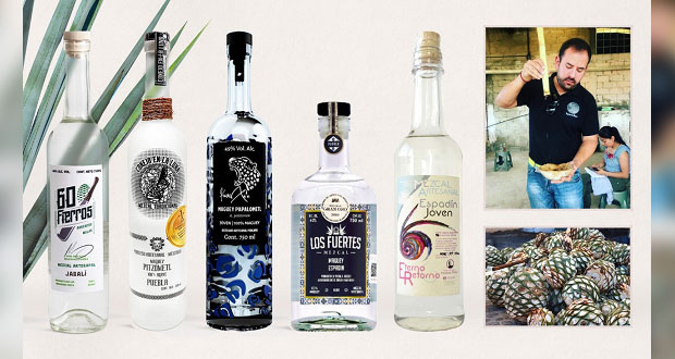 Mezcal poblano obtiene 24 medallas en concurso nacional