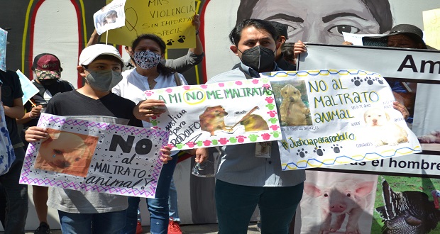 Poblanos exigen justicia por asesinato de perrito Rodolfo Corazón en Sinaloa. Foto: EsImagen / Lore Martínez