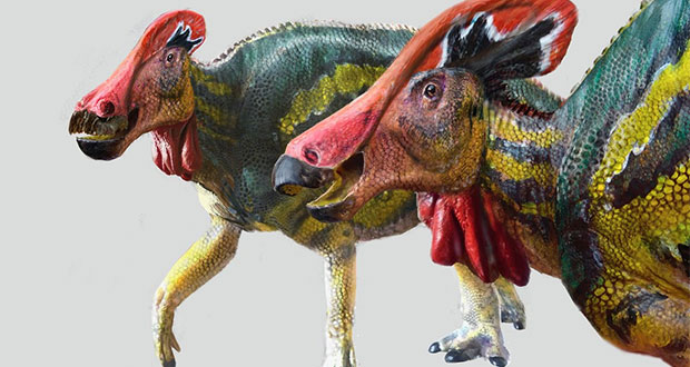Descubren nueva especie de dinosaurio en Coahuila