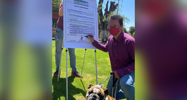 Lorenzini firma agenda animalista; promoverá esterilización  
