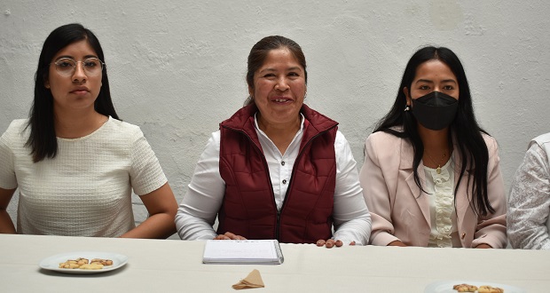 Pide candidata a Nealtican intervenir al IEE ante ataques en redes