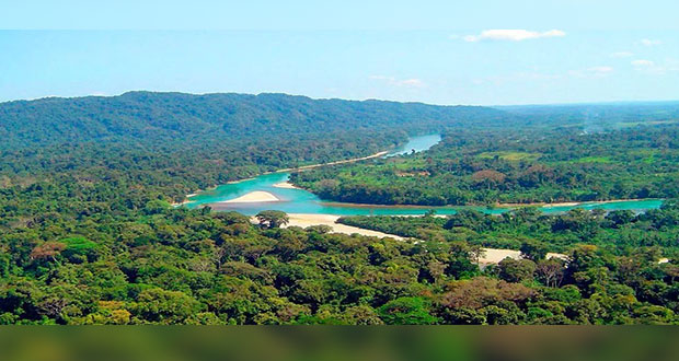 Federación atiende reclamos de protección a Selva Lacandona