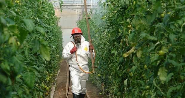 1 de julio, declarado Día de la Sanidad Vegetal en México