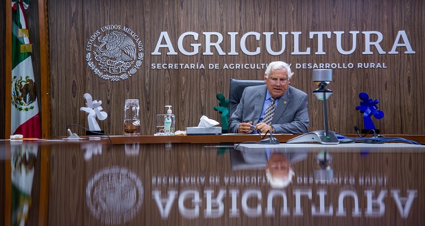 Ante cambio climático, México impulsa innovación en agricultura: Sader 