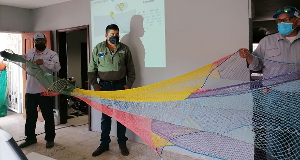 Conapesca capacita a 3 estados sobre protección de tortugas marinas