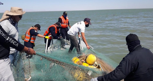 En mayo, Conapesca retiene 179 mil productos de pesca ilegal en país