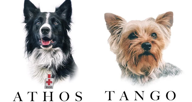 Envenenan a dos perritos rescatistas de la Cruz Roja en Querétaro