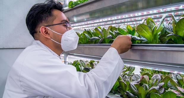 Sader promueve agricultura autosustentable en productores pequeños