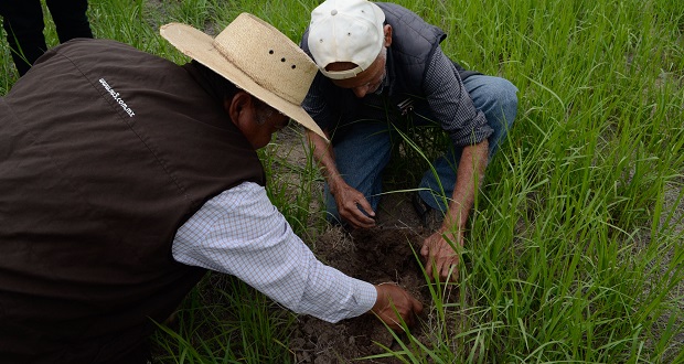 Sader y Conacyt colaboran para aprovechar agua en zonas áridas