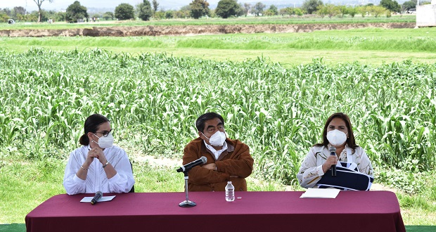 Si empresas tienen relación con socavón se cancelarán; estudian tres causas